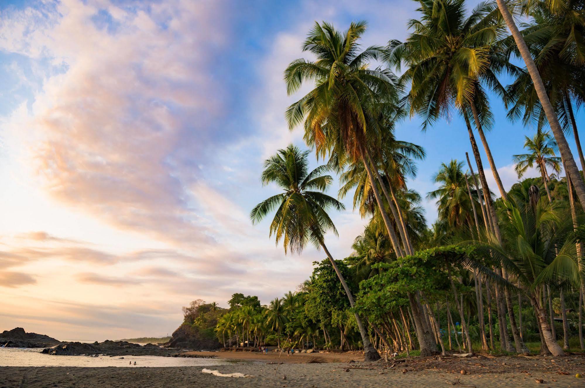 Tiki Villas Rainforest Lodge & Spa Uvita Zewnętrze zdjęcie