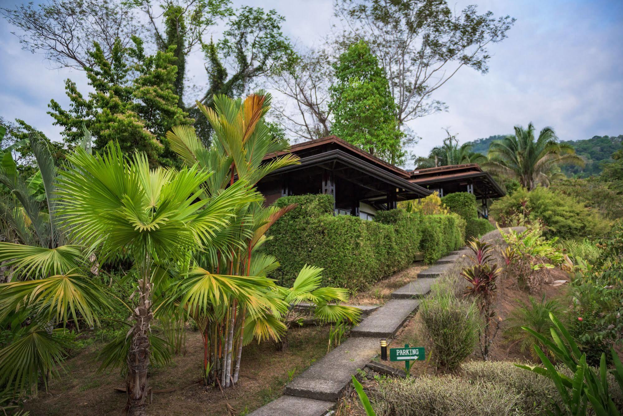 Tiki Villas Rainforest Lodge & Spa Uvita Zewnętrze zdjęcie