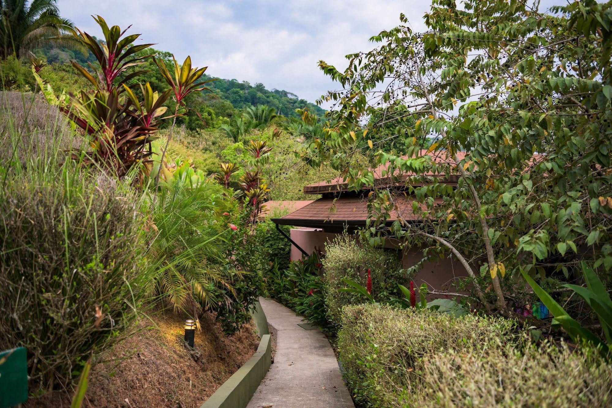 Tiki Villas Rainforest Lodge & Spa Uvita Zewnętrze zdjęcie